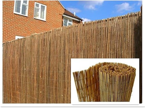Natural reed screening roll - natural,