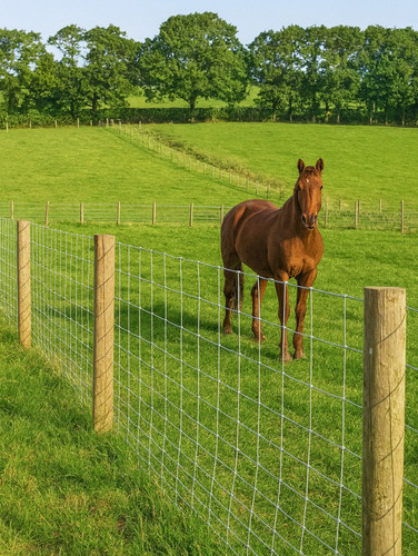 Stock fencing 100 15 - stock,