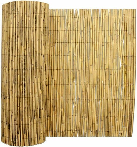 Bamboo wide natural peeled - bamboo,