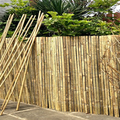 Bamboo slat fence - slat, roll