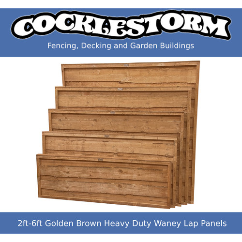 2ft 6ft high golden - 2ft-6ft, brown