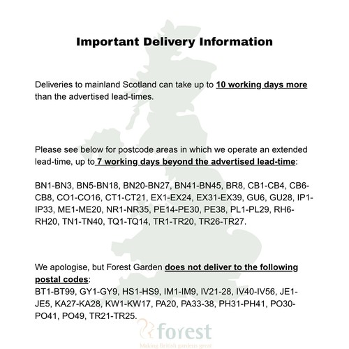 Forest x - forest,
